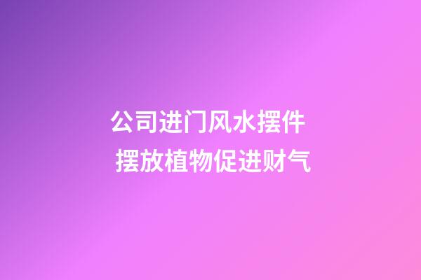公司进门风水摆件  摆放植物促进财气